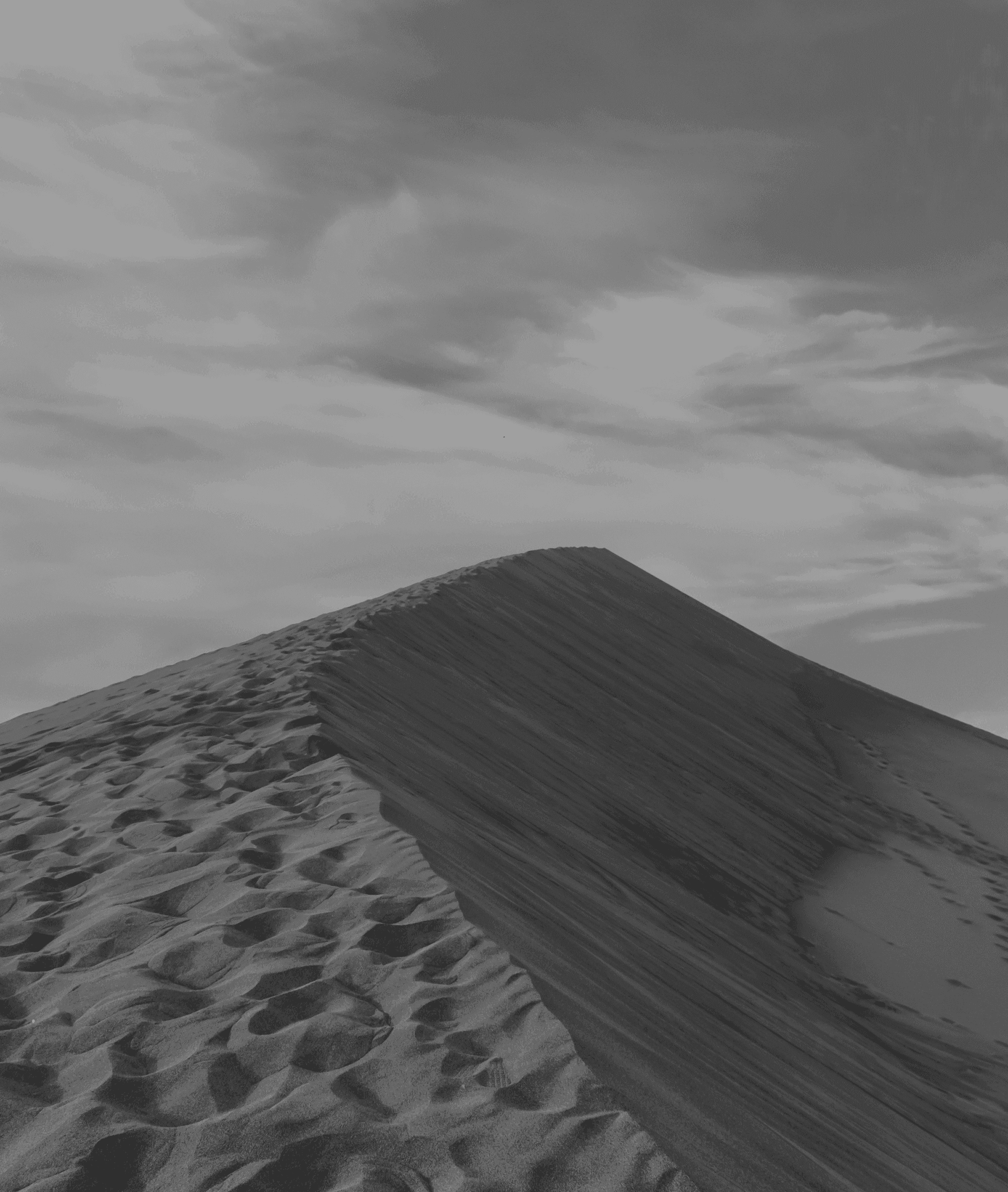 Sweeping desert dune at golden hour